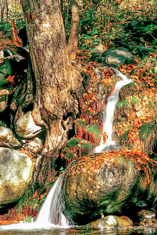 Oak Creek Waterfall  Photograph by Randy Bradley