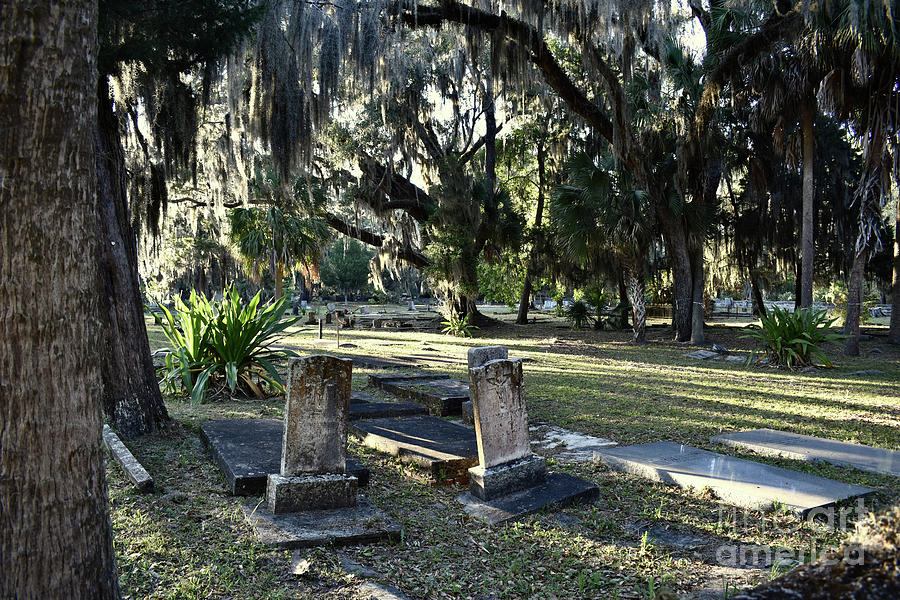 Oak Grove Cemetery, St Marys, Georgia Photograph by Ron Long