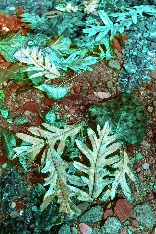 Oak Leaves on the Edge of the Waterfall in Aqua Blue Tones Photograph by Debra and Dave Vanderlaan