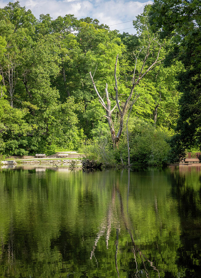 Oak Openings Ohio Mallard Lake Reflection Photograph by Dan Sproul ...