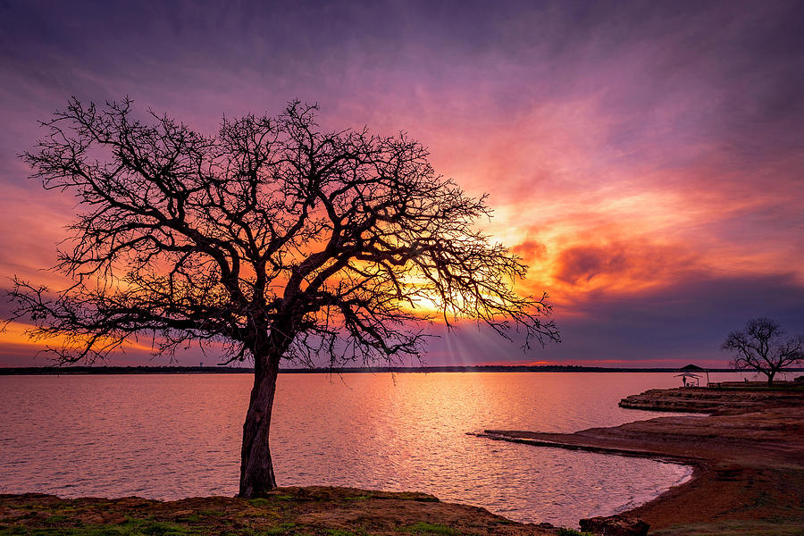 Oak Sunset Photograph by Angie Mossburg