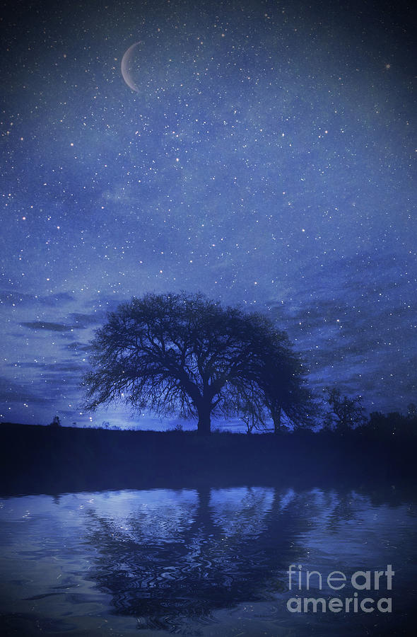 Oak Tree and Crescent Moon Starry Night Fantasy Image Photograph by Stephanie Laird