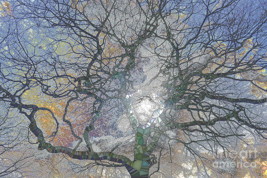 Oak Tree In Early Spring, York, Stained Glass Effect Photograph