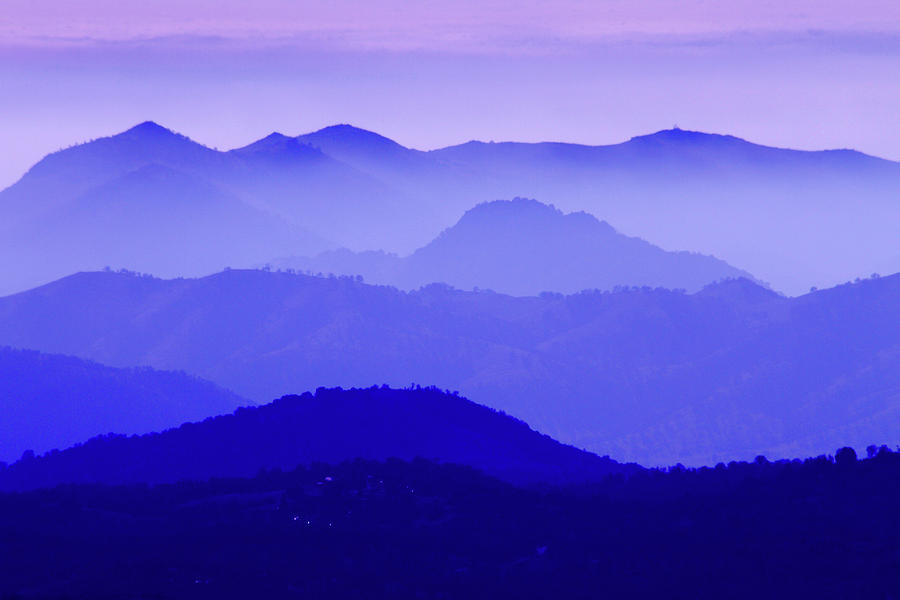 Oak Tree Mountains Photograph by Ben Mercier