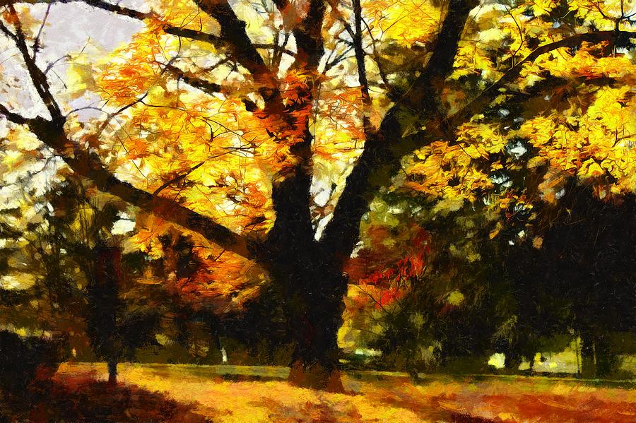 Oak Tree on a Fall Afternoon Mixed Media by Christopher Reed