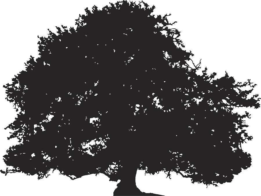 Oak tree silhouette vector Drawing by Dra_schwartz