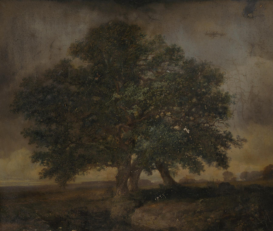 Oak tree study Painting by Louis Noel - Fine Art America