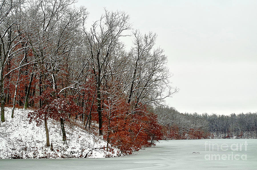 Oak Trees and Frozen Lake Photograph by Randy Pollard