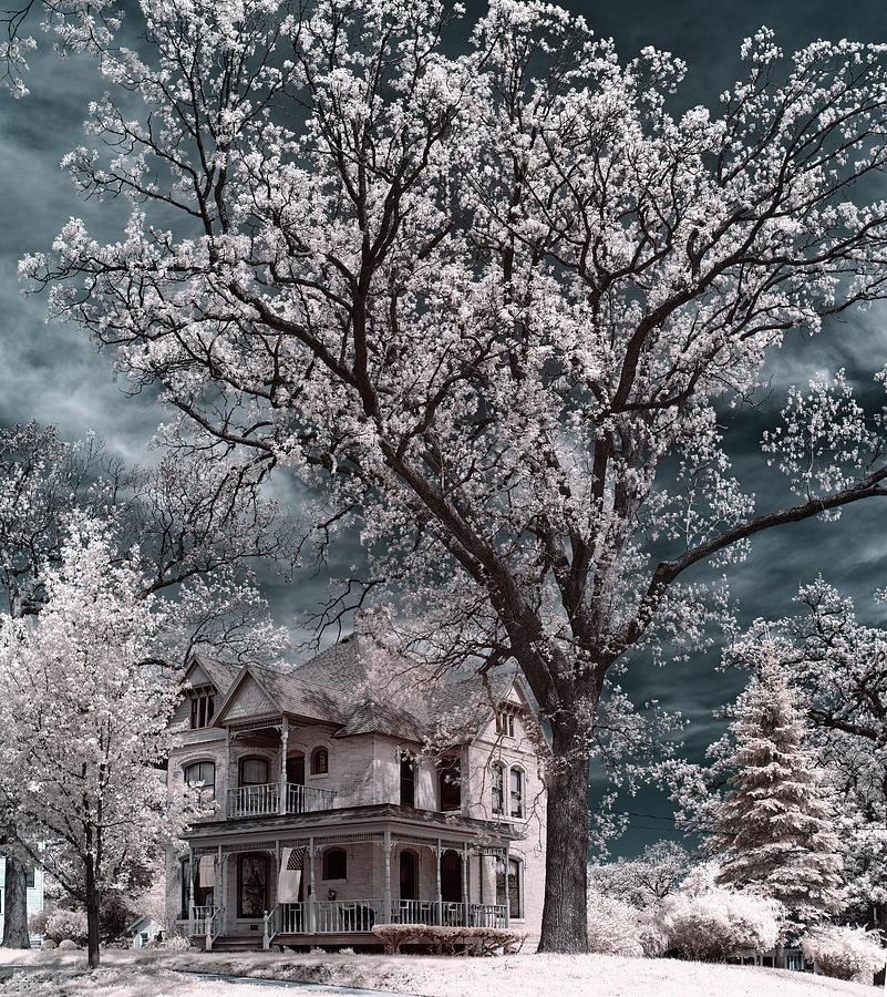 Oakitecture - Historic Stoughton home and oak tree in infrared spectrum Photograph by Peter Herman