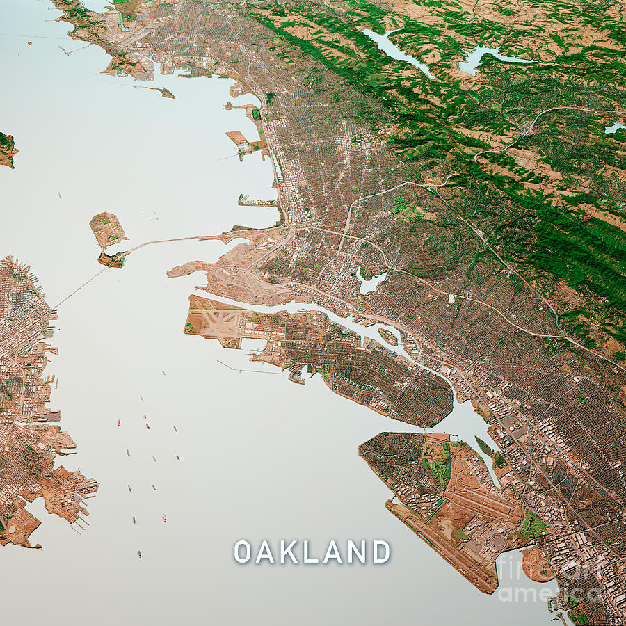 Oakland Digital Art - Oakland California 3D Render Map Color Top View Oct 2019 by Frank Ramspott