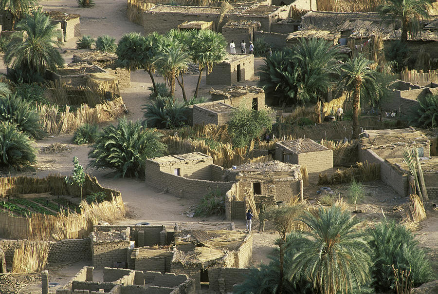 Oasis Bardai , Tibesti , Sahara Desert , Chad Photograph by Franz Aberham