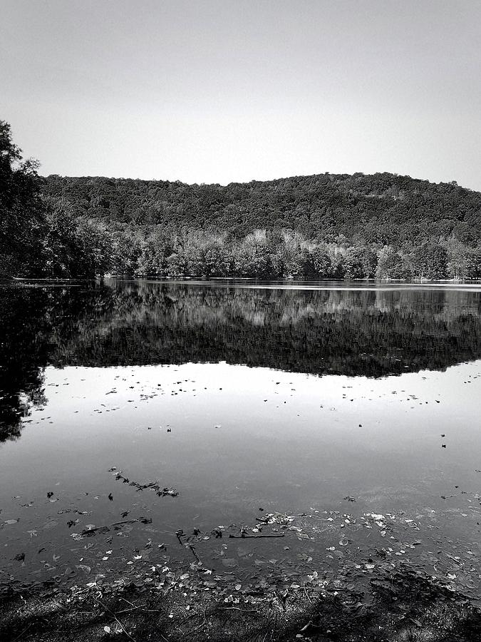 Black And White Photograph - Oasis on the Lake by Pamela Storch