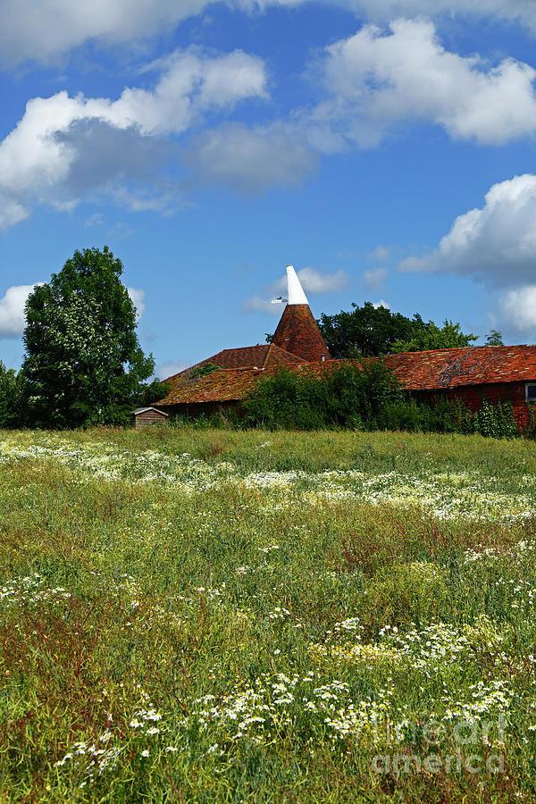 Oast House and Summer Wildflower Meadow Tudeley Kent Photograph by James Brunker