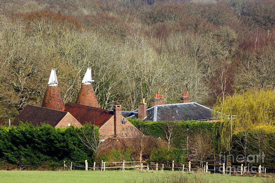 Oast Houses and Woodland in Early Spring Kent England Photograph by James Brunker