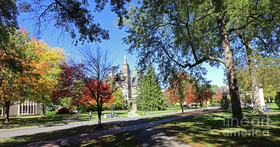 Oberlin College Campus 4638 Photograph by Jack Schultz
