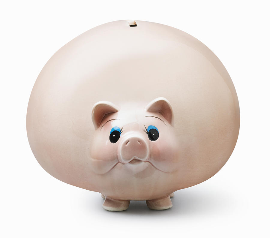 Obese Piggy Bank Photograph by Lauren Nicole