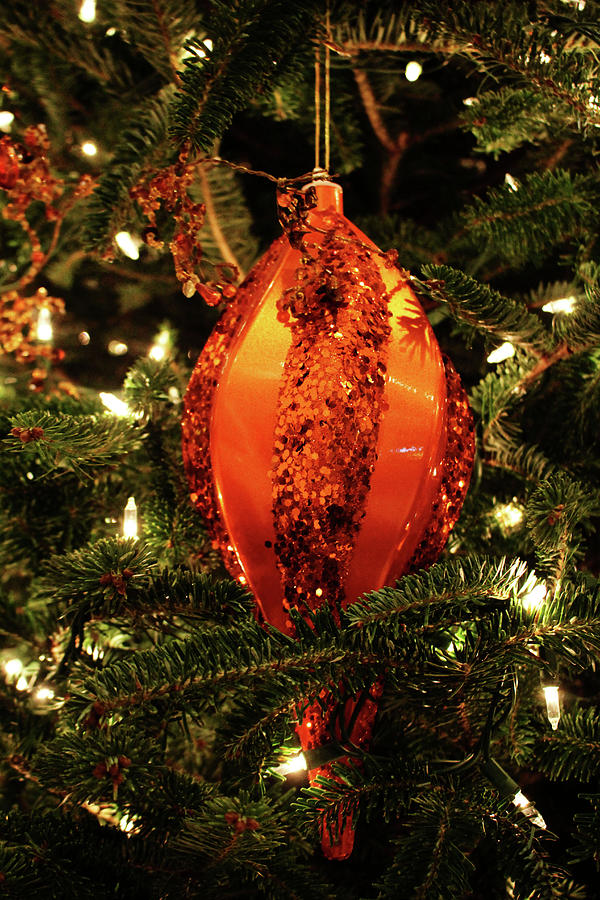 Oblong Christmas Ornament Photograph by Cynthia Guinn