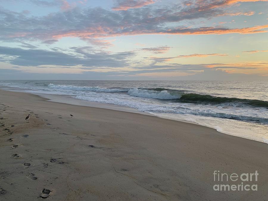 OBX Photograph by Annamaria Frost