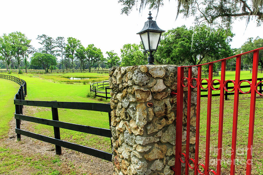 Ocala Florida Horse Farm Photograph by Ben Graham - Fine Art America