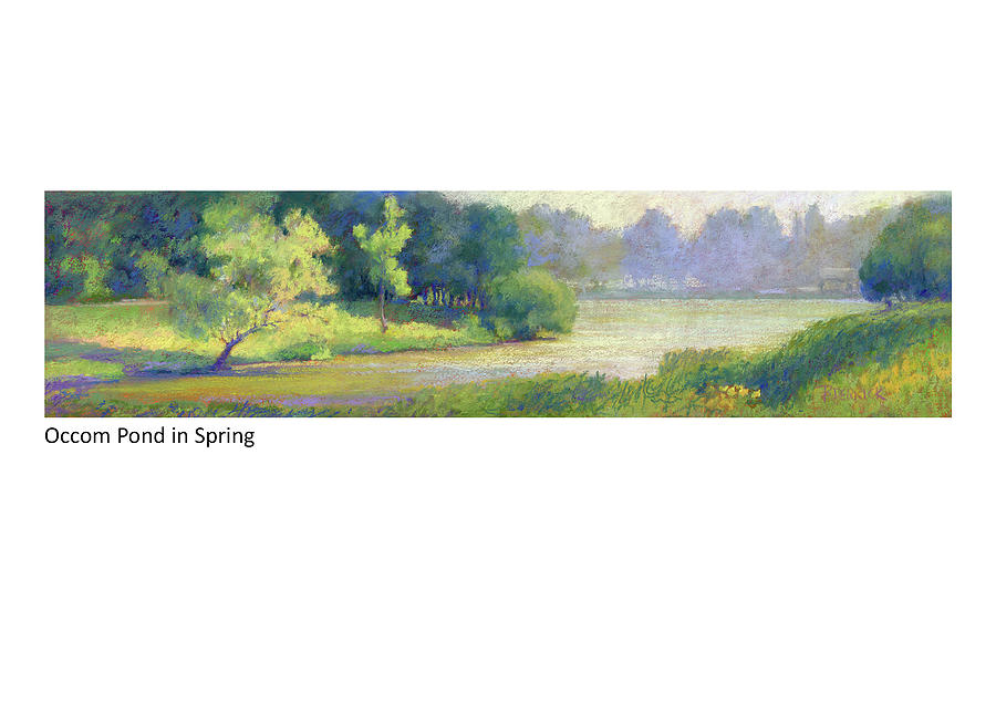 Occom Pond in Spring Pastel by Betsy Derrick