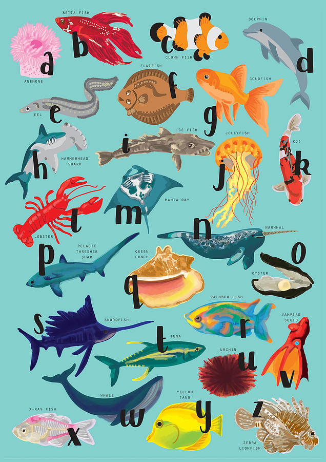 Ocean Alphabet Poster vintage Painting by Oliver David | Fine Art America