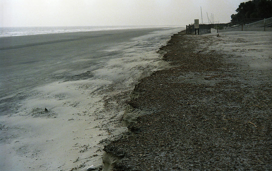 Hilton Head - Ocean Beach 1991 Photograph by Frank Romeo