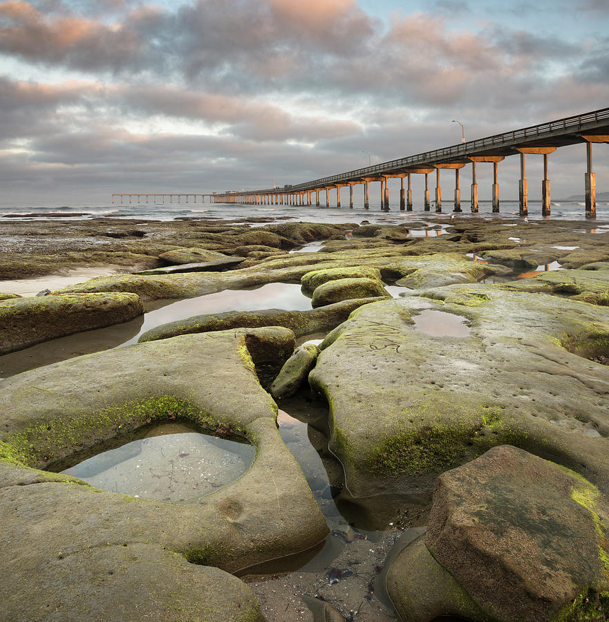 Ocean Beach Low Tide Pier and Rocks Photograph by William Dunigan