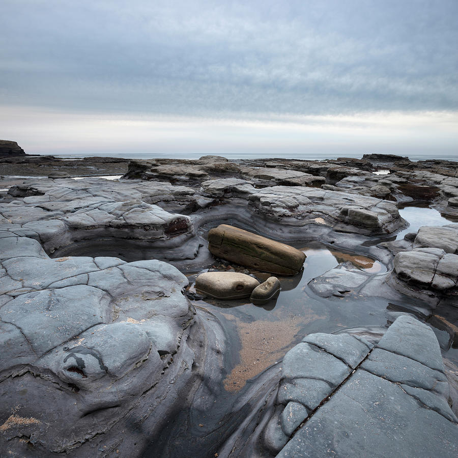 San Diego Photograph - Ocean Beach Smooth Stones at Low Tide by William Dunigan