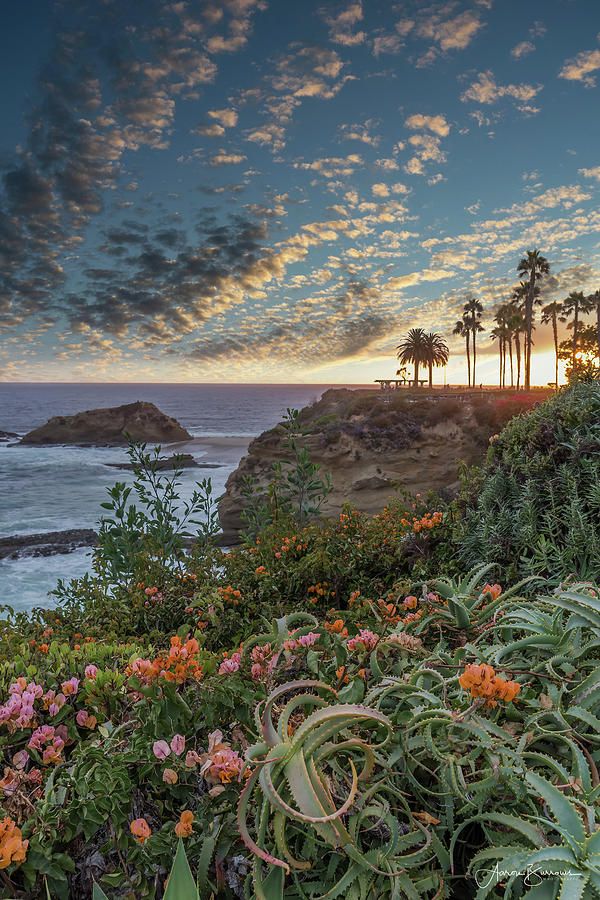 Ocean Blooms Photograph by Aaron Burrows