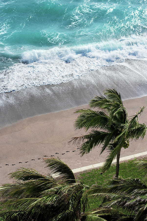 Ocean Blue Waves and Palms Beach Aerial Photograph by Laura Fasulo