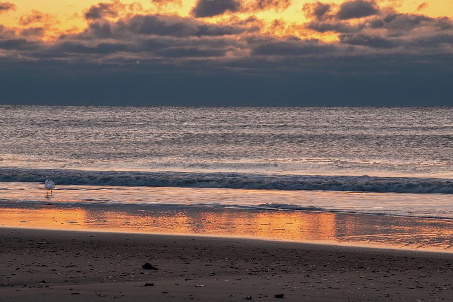 Ocean City Golden Sunrise Photograph by Kristia Adams
