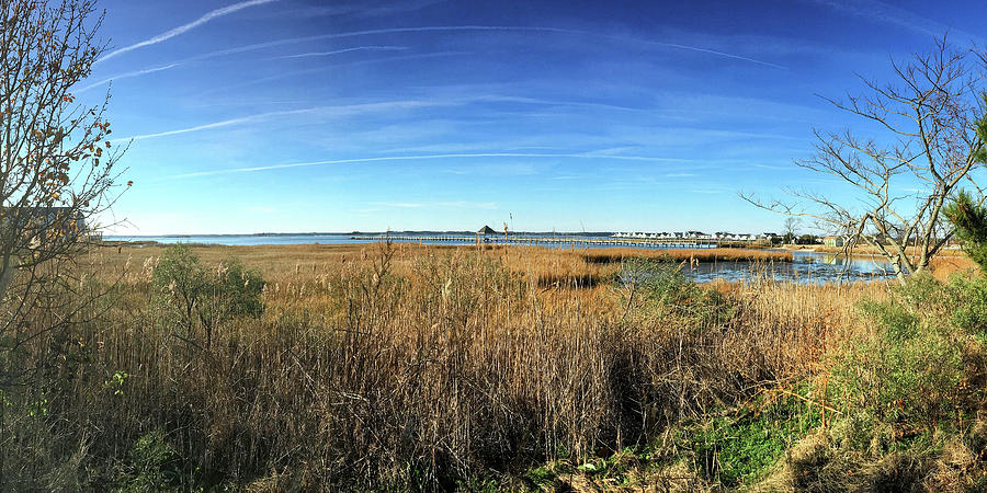 Ocean City Marsh and Pier Panorama Photograph by Bill Swartwout