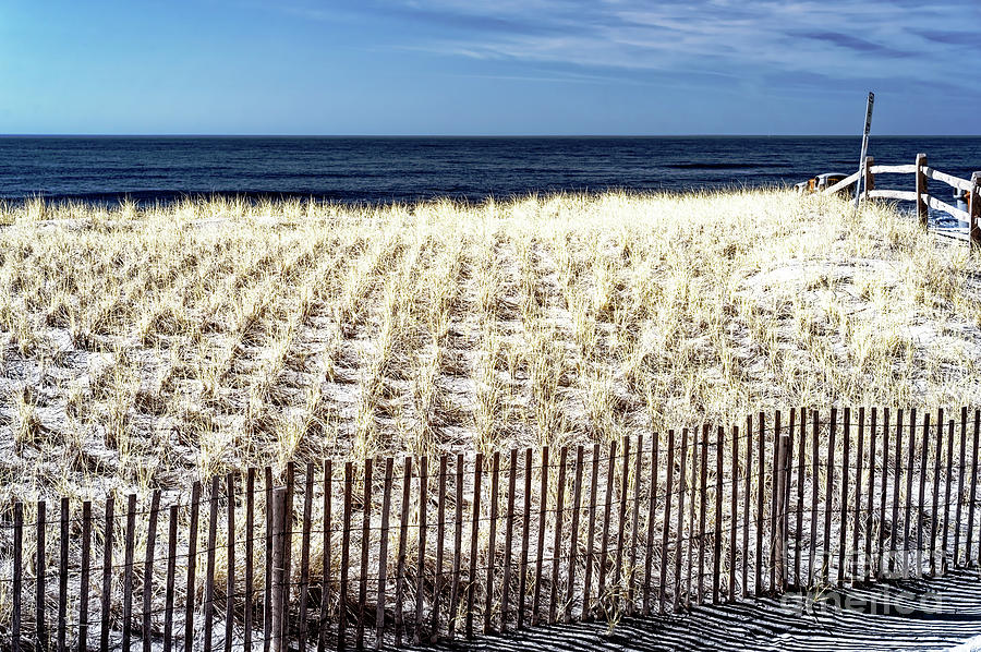 Ocean City New Jersey Infrared Dune Photograph by John Rizzuto