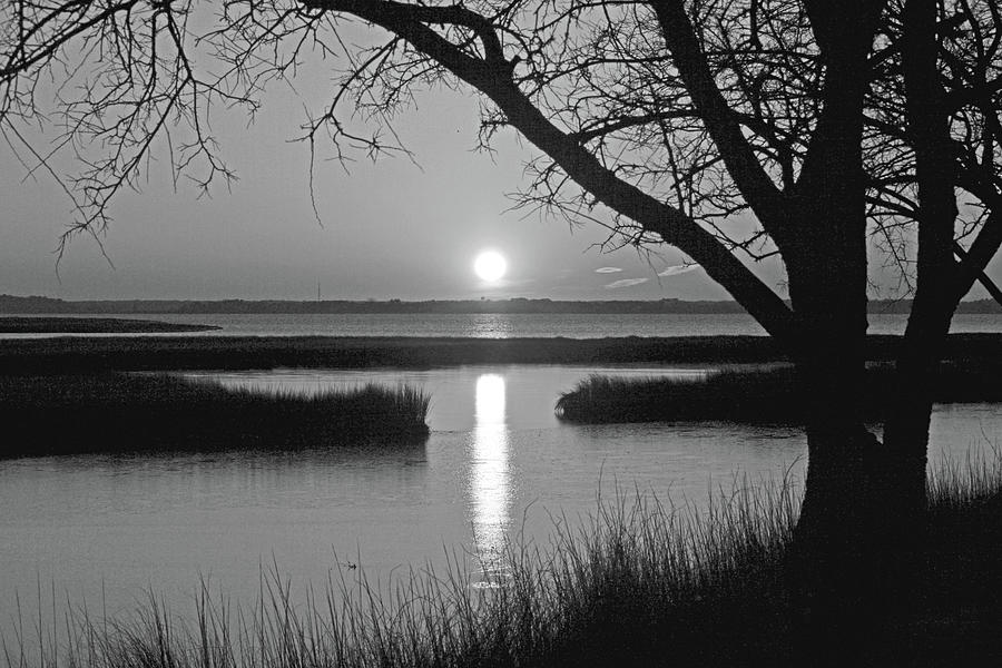 Ocean City Sunset at Old Landing Road in Black and White Photograph by Bill Swartwout