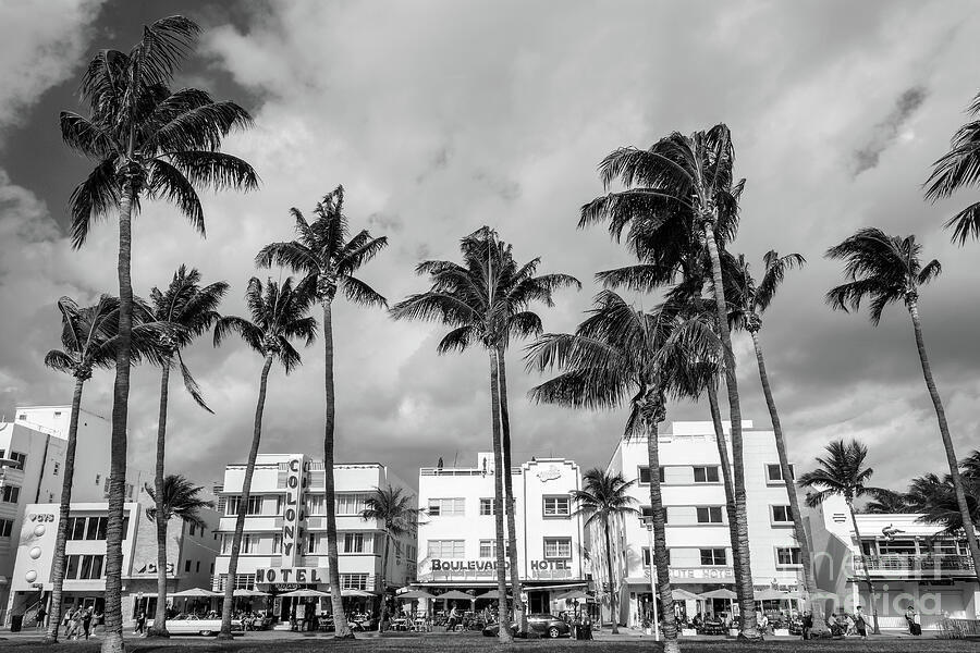 Ocean Drive, Miami Beach, Florida - Black and white Photograph by Delphimages Photo Creations Ocean Drive, Miami Beach, Florida - Black and white Photograph by Delphimages Photo Creations