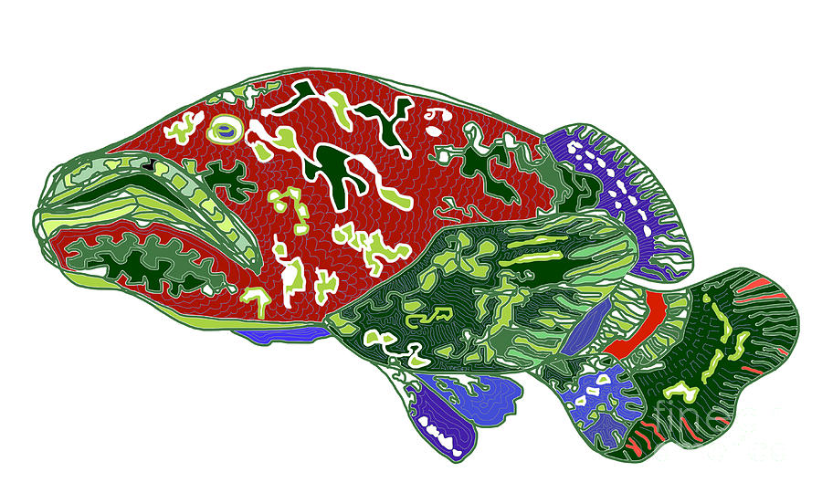 Grouper Fish Digital Art by Robert Yaeger