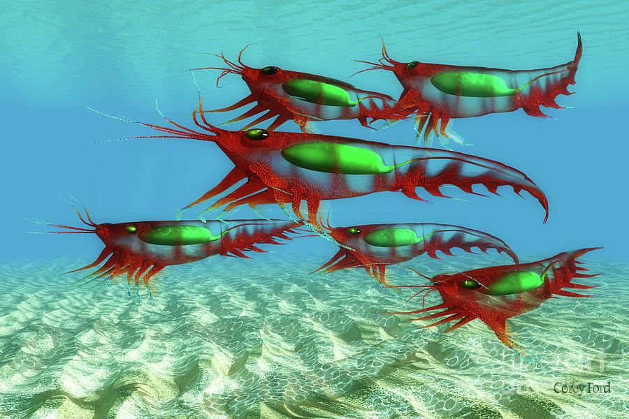 Ocean Krill Fish Digital Art by Corey Ford