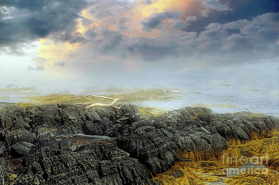  Atlantic Ocean Foggy  Landscape  Photograph by Elaine Manley