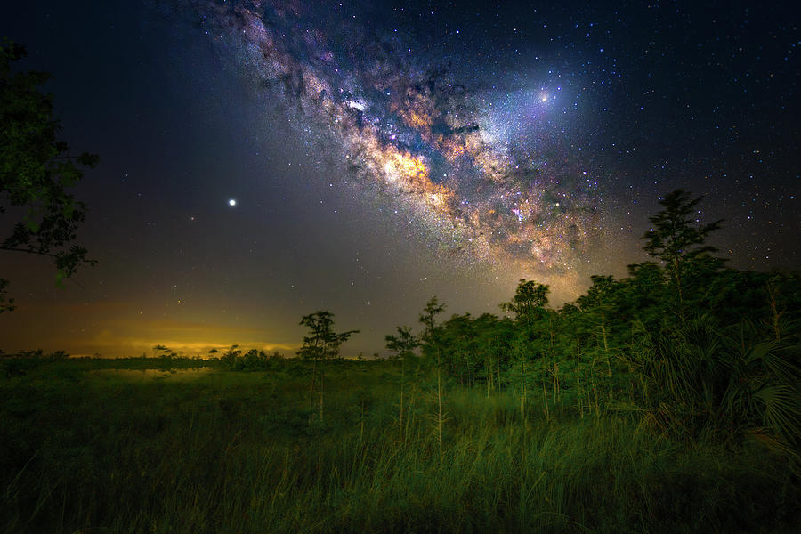Ocean of Stars Photograph by Mark Andrew Thomas