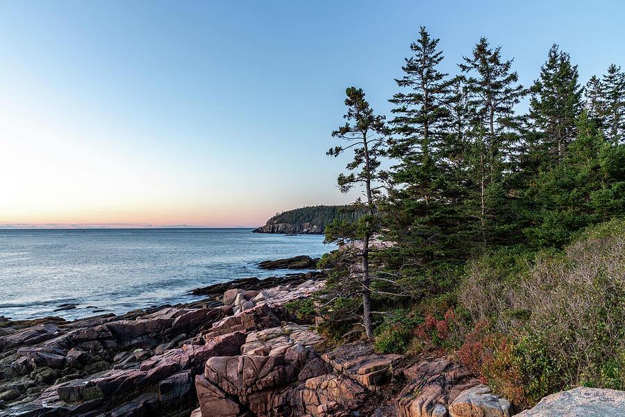 Ocean Path Acadia National Park Photograph by Andrew Pacheco