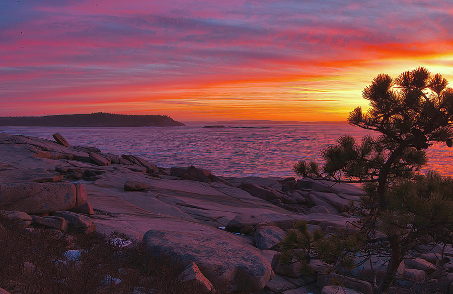 Ocean Path Sunrise - Acadia Photograph by Stephen Vecchiotti