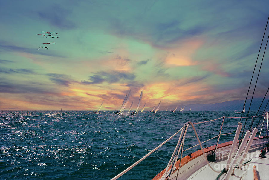 Marina Del Rey Photograph - Ocean Race Sunset by David Zanzinger