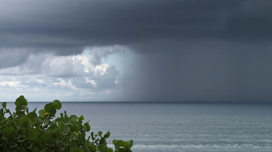 Ocean Rain Photograph