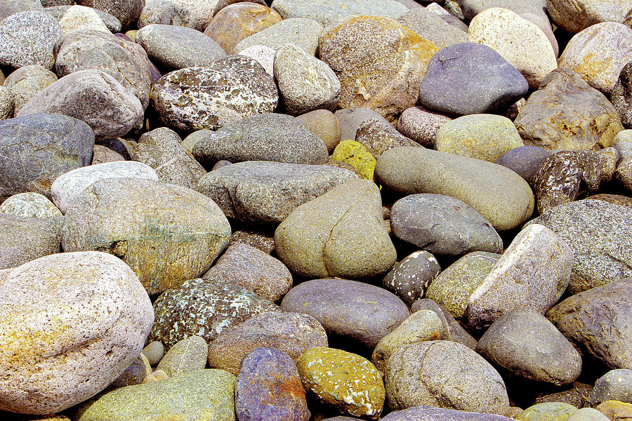 Ocean Rocks  Photograph by Randy Bradley