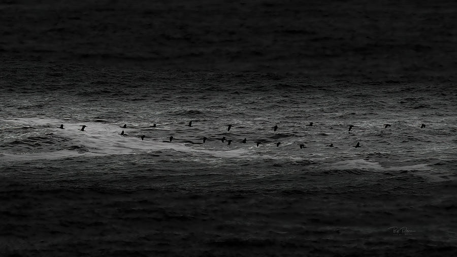 Ocean Runners Photograph by Bill Posner