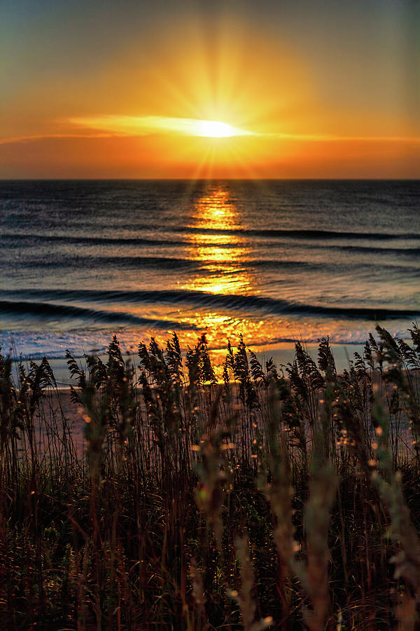 Ocean Sand Dune Sunrise 703 Photograph by Dan Carmichael