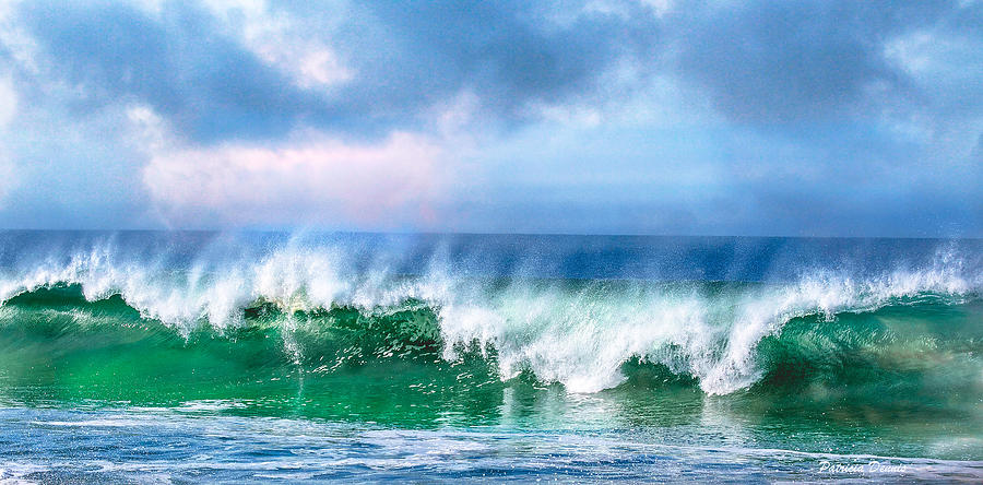Ocean Serenade  Photograph by Patricia Dennis