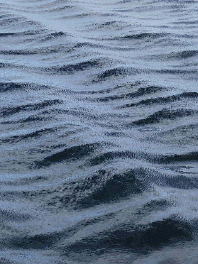 Ocean Shivers 1 Photograph by Menega Sabidussi