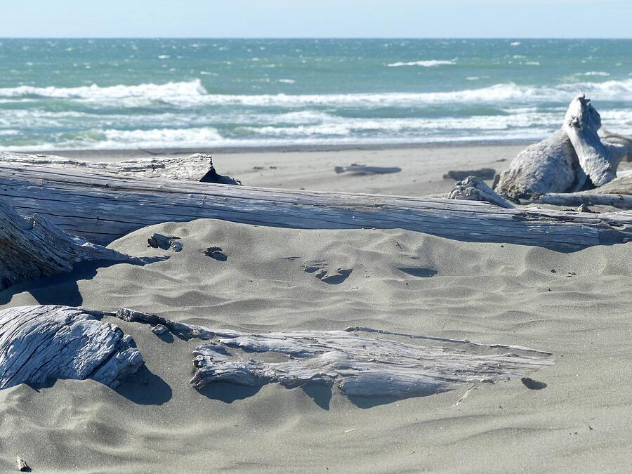 Ocean Shores, Washington Photograph by Shirley Stevenson Wallis - Fine ...