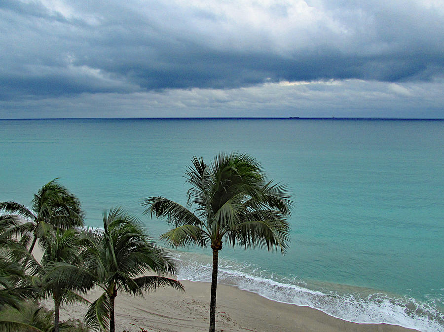 Ocean Sky and Palms Photograph by Corinne Carroll